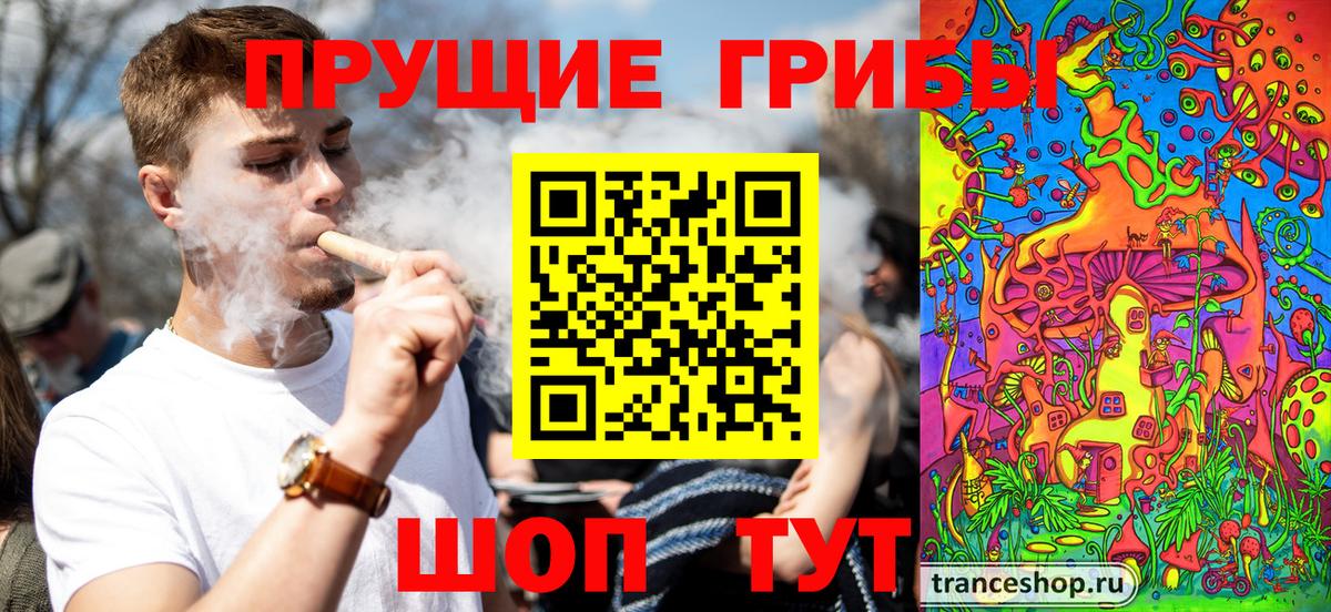 Новый Уренгой  Псилоцибиновые грибы мицелий  Вход с VPN 